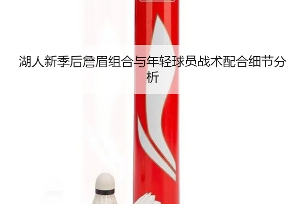 湖人新季后詹眉组合与年轻球员战术配合细节分析